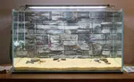 3D aquarium background 16"/28" - Available at AfnoBazar Nepal