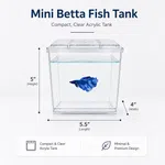 desktop mini fish tank for Betta fish with 700ml water capacity - Available at AfnoBazar Nepal