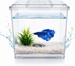 desktop mini fish tank for Betta fish with 700ml water capacity - Available at AfnoBazar Nepal