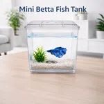 desktop mini fish tank for Betta fish with 700ml water capacity - Available at AfnoBazar Nepal