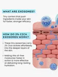 2% Cica Exosomes Oil Free Moisturiser 50 ml image 10