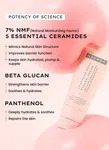Ceramide Rich Pillow Cream 50 ml image 4
