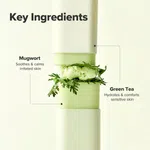 Beauty of Joseon Matte Sun Stick, Mugwort and Camelia SPF 50+ PA++++ image 3