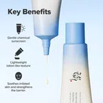Beauty of Joseon Relief Sun Aqua-Fresh Sunscreen, Rice + Panthenol SPF 50+ PA++++, 50ml image 6