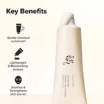 Beauty of Joseon Relief Sun Rice + Probiotics SPF 50+ PA++++, 50ml image 3