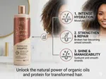 B&S Professional Shea Butter Protein Hair Shampoo, 750ml, Sulfate and Paraben Free image 3