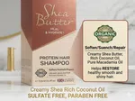 B&S Professional Shea Butter Protein Hair Shampoo, 750ml, Sulfate and Paraben Free - Available at AfnoBazar Nepal