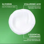CeraVe Hydrating Facial Cleanser for Normal to Dry Skin, Paraben-Free - Available at AfnoBazar Nepal