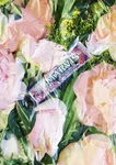 Marvis Garden Collection Kissing Rose Toothpaste, 75ml - Available at AfnoBazar Nepal