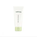 Wellogy Green Citrus Face Wash with Vitamin C and Salicylic Acid - Available at AfnoBazar Nepal