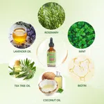 Disaar Rosemary Mint Scalp and Hair Strengthening Oil, 60ml, with Biotin - Available at AfnoBazar Nepal
