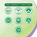Dr. Rashel Neem Acne Pimple Patch with Salicylic Acid, 36 Patches - Available at AfnoBazar Nepal
