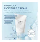 SKIN1004 Madagascar Centella Hyalu-Cica Moisture Cream, 75ml - Available at AfnoBazar Nepal