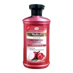 Wellice Advanced Onion Shampoo, 400ml, with Biotin, Keratin and Argan Oil - Available at AfnoBazar Nepal