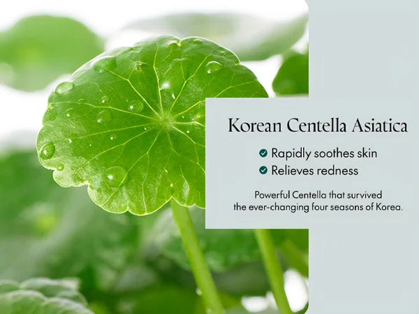 Purito Wonder Releaf Centella Cream, 50ml - Available at AfnoBazar Nepal