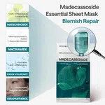 Karite Blemish Repair Fresh Mask, Pack of 5, 30ml Each - Available at AfnoBazar Nepal