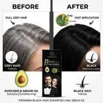 Promina Black Hair Colour Shampoo, 200ml x 2 Twin Pack, with Avocado and Argan Oil - Available at AfnoBazar Nepal