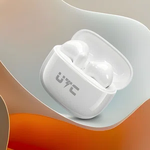 T41 Earbuds