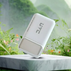 20000 mAh Powerbank