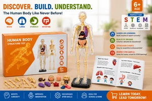 Human Body Structure 3D Anatomy Model for Kids 6+ - Available at AfnoBazar Nepal