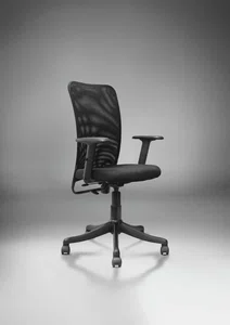 Vbon Empire High Back Mesh Chair with Adjustable Armrests