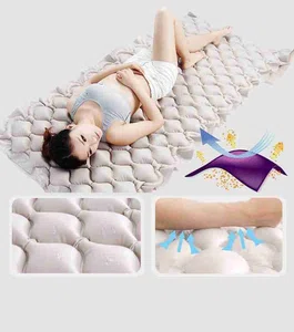 Alternating Pressure Air Mattress with Pump