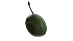 Altus image 5