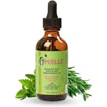 Mielle Organics Rosemary Hair Oil for Hair Growth Mint Scalp & Hair Strengthening Oil for All Hair 59 ML - Available at AfnoBazar Nepal