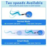 Automatic Rolling Ball Toy for Cats and Dogs - Interactive Toy with Feather Tail image 4