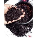 Ban Silam (Celery Seed) - A Grade Whole Seeds, 100% Original image 1