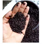 Ban Silam (Celery Seed) - A Grade Whole Seeds, 100% Original image 4