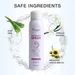Kingyes Hair Removal Spray 150ml - Foam Formula for Men and Women image 1