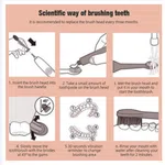 X-9 Sonic Electric Toothbrush - 6 Cleaning Modes with 4 Replacement Brush Heads image 4