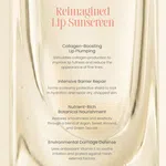 Fairy Skin Sunny Dew Lip Treatment SPF 50 PA++++ Lip Sunscreen 12ml image 5