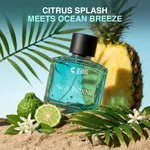 Beardo Sea Borne Perfume EDP for Men 100ml image 2