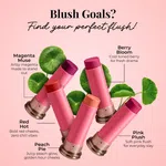 Just Herbs Born To Blush Stick Berry Bloom with Shea Butter and Cica 14g - Available at AfnoBazar Nepal