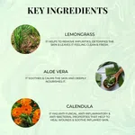 Just Herbs Lemongrass Body Wash 300ml - Available at AfnoBazar Nepal