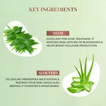 Just Herbs Neem Aloe Vera Foaming Face Wash 100ml - Available at AfnoBazar Nepal