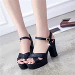 Women's Cross Strap Platform Block Heel Sandals - Black image 1