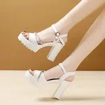 Women's Buckle Strap Platform Thick Heel Sandals image 1