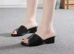 Women's Rhinestone Mesh Heeled Slippers - Available at AfnoBazar Nepal