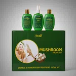 Silver6 Mushroom Facial Kit - 4 Step Herbal Facial with Cleansing Milk, Cream, Pills & Serum (10 Uses) image 2