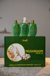 Silver6 Mushroom Facial Kit - 4 Step Herbal Facial with Cleansing Milk, Cream, Pills & Serum (10 Uses) image 3