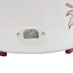 Baltra Dream Deluxe Rice Cooker 1.5 Litre 500 W (BTD 500D) - Available at AfnoBazar Nepal