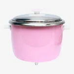 Baltra Steel Regular Rice Cooker 2.2 Litre 900 W (BTS 900SP) - Available at AfnoBazar Nepal