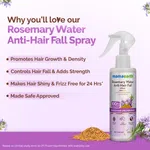 Mamaearth Rosemary Water Anti-Hair Fall Spray with Pure Steam Distilled Rosemary Water & Methi Dana - 200ml - Available at AfnoBazar Nepal