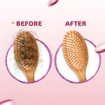 Mamaearth Onion Hair Oil with Onion & Redensyl for Hair Fall Control - 150ml - Available at AfnoBazar Nepal