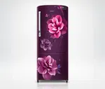 Samsung 192L Single Door Refrigerator, Camellia Purple (RR20C2722CR/IM) image 1