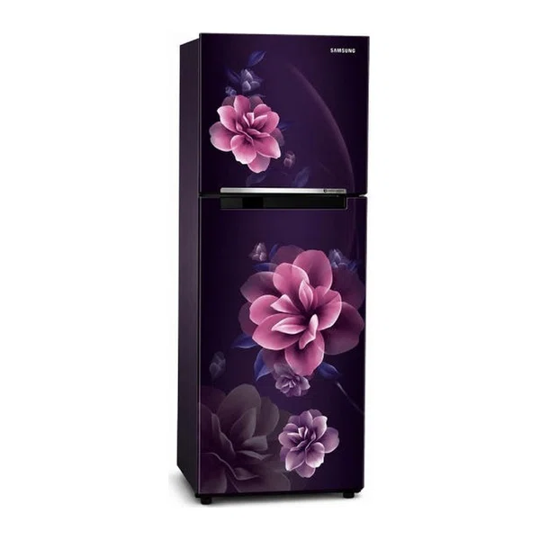 Samsung 253L Frost Free Double Door Refrigerator with Digital Inverter (RT40H28WNCPIM)
