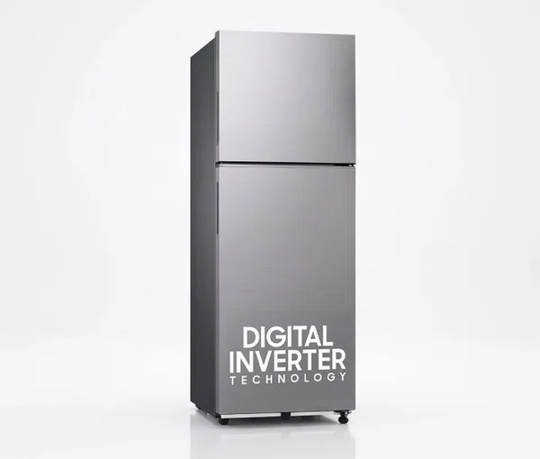 Samsung 253L Frost Free Double Door Refrigerator, Matt Doi Metal Finish (RT40H28WNQIM)